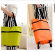 Trolly Bag
